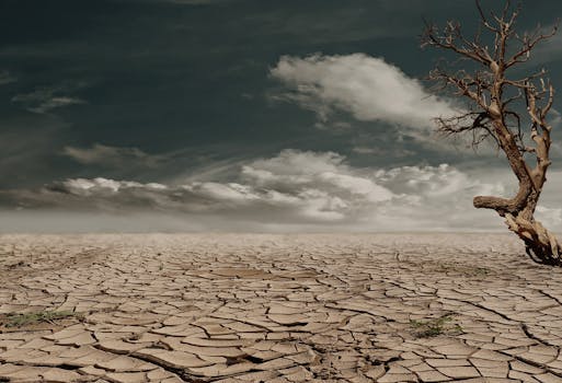 desert-drought-dehydrated-clay-soil-60013-60013 A solitary tree stands against a cracked, arid landscape under a cloudy sky, illustrating drought and desertification.