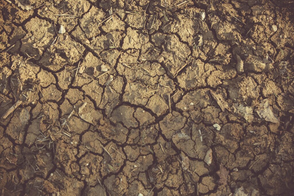 pexels-photo-1097016-1097016 Close-up of cracked, arid soil showing detailed textures and patterns, indicative of drought conditions.